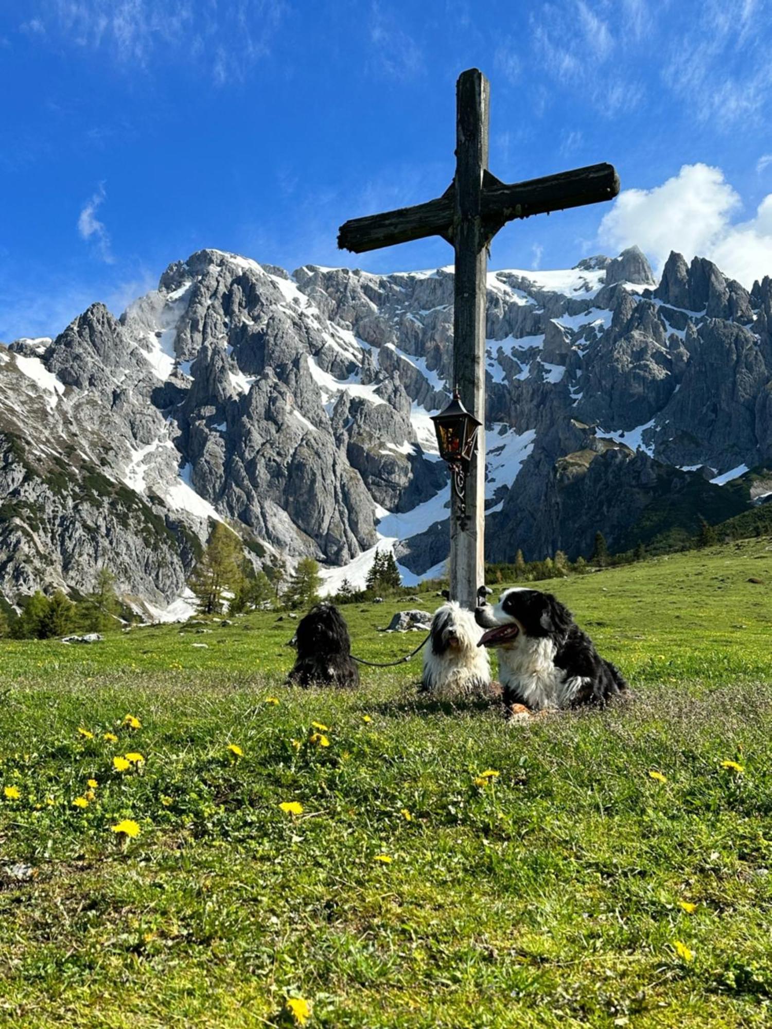 Apart Ursus Hinterthal Maria Alm am Steinernen Meer Esterno foto