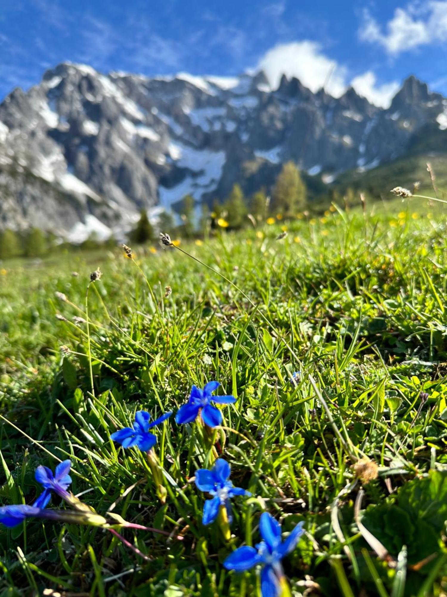 Apart Ursus Hinterthal Maria Alm am Steinernen Meer Esterno foto
